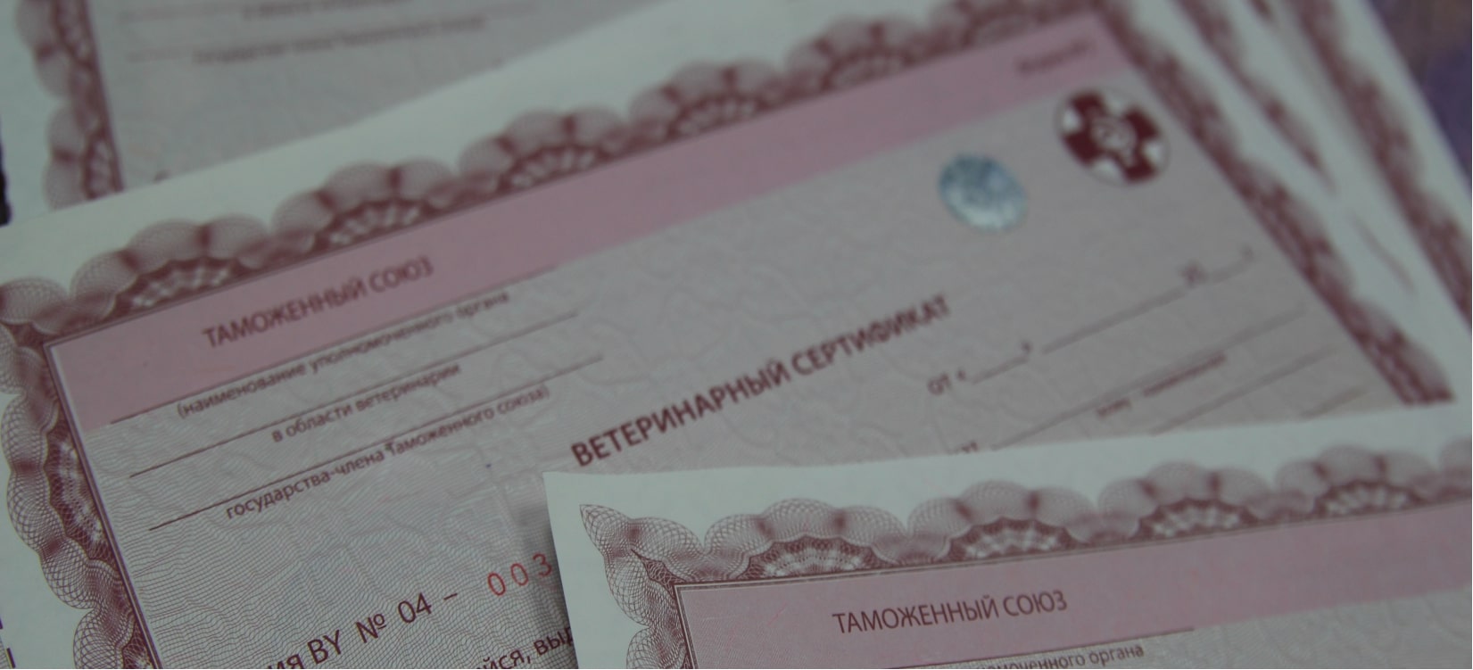 Виды и назначение сертификатов товаров: полное руководство по сертификации продукции - 1